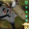 Draak's picture