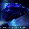 constellation-knight's picture