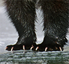 pillars's picture