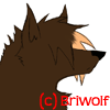 Briwolf's picture