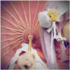 iglow's picture