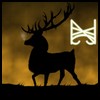 Countess's picture