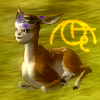 SilverCluto's picture