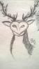 Tenora's picture