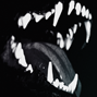 JigglyJay's picture