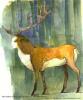 Thorn143's picture