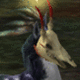 Cloventail's picture